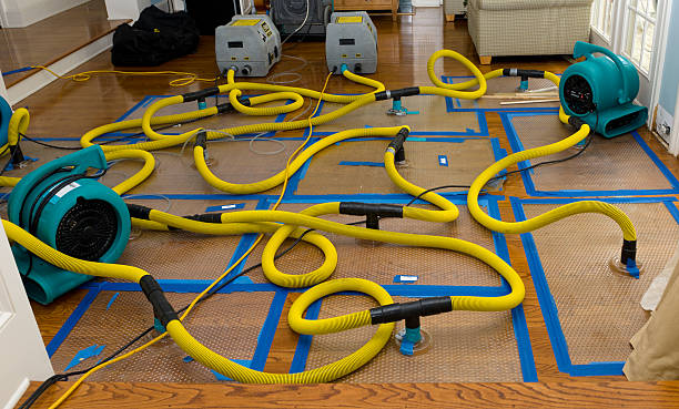 Professional Structural Drying And Dehumidification technician working in Saint Stephen, MN